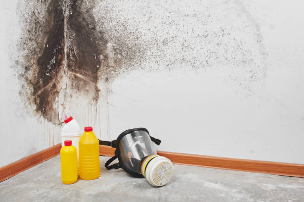 Best Mold Testing  in Mcminnville, OR