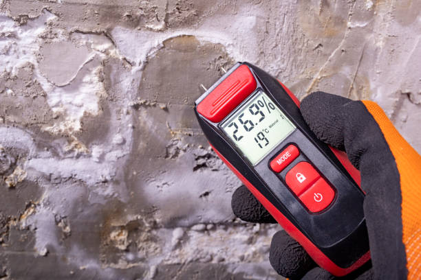 Best Emergency Mold Removal  in Mcminnville, OR