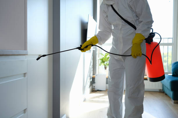 Mold Removal Process in Mcminnville, OR