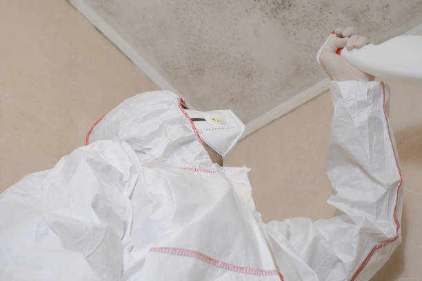 Best Mold Inspection  in Mcminnville, OR