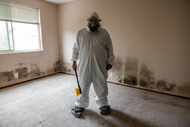 Best Residential Mold Removal  in Mcminnville, OR